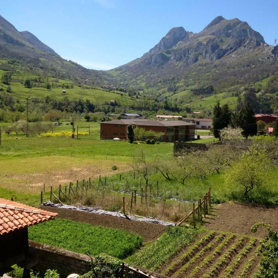 Tu Casita De La Senda Del Oso Villa Proaza Exterior foto